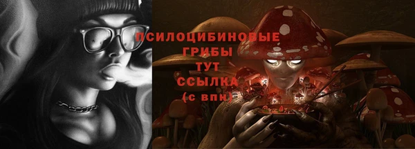 a pvp Аркадак