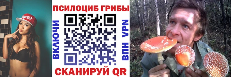 где купить наркотик  Устюжна  нарко площадка клад  Галлюциногенные грибы GOLDEN TEACHER 